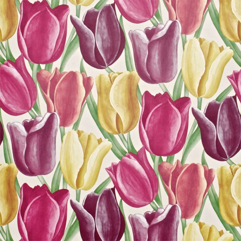 Early Tulips - DVIWEA103
